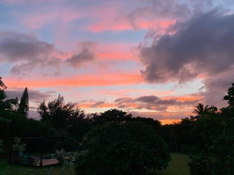 North Shore Garden Suite Галеіва Екстер'єр фото