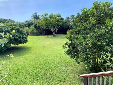 North Shore Garden Suite Галеіва Екстер'єр фото